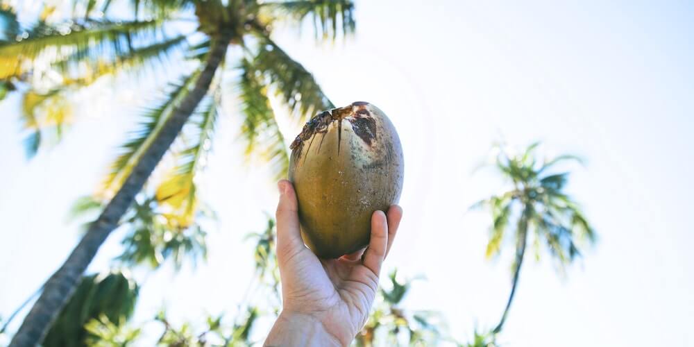 Coconut Oil For Genital Herpes